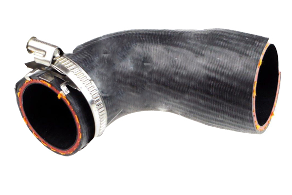 Laadlucht-/turboslang Bugiad 88840