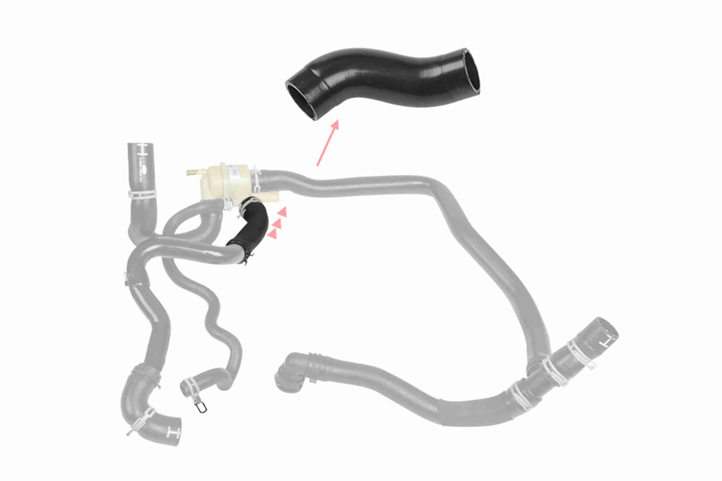 Radiateurslang Vaico V48-0582