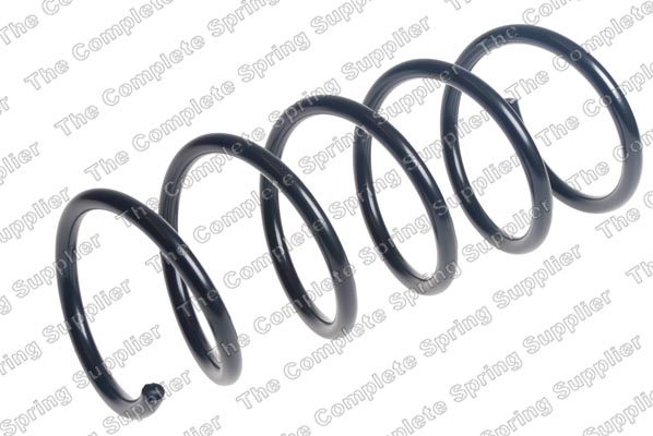 Chassisveer Lesjöfors 4217019