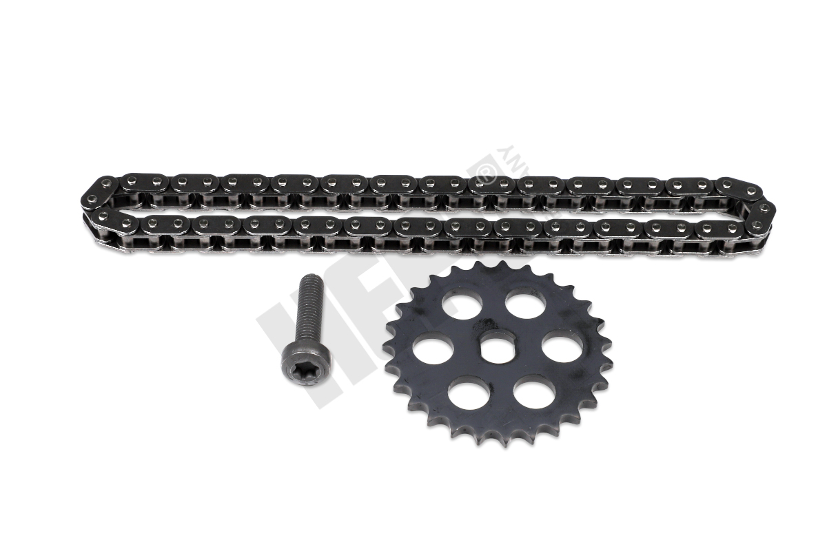 Oliepomp aandrijfketting Hepu 21-0647