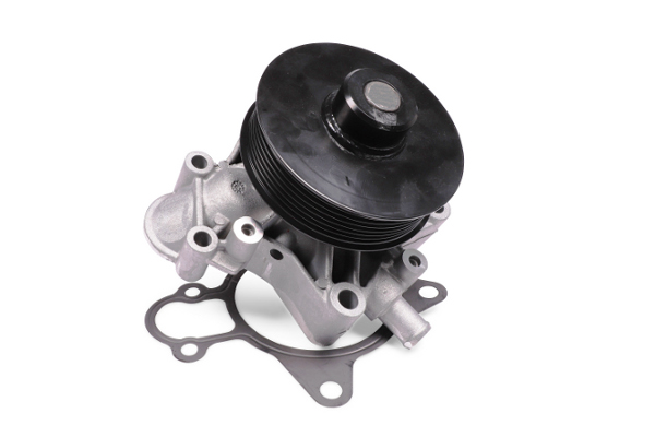 Waterpomp Hepu P1213