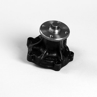 Waterpomp Hepu P7128