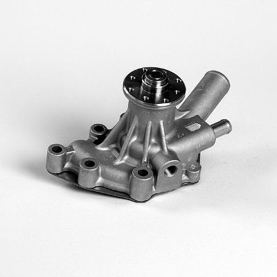 Waterpomp Hepu P7206