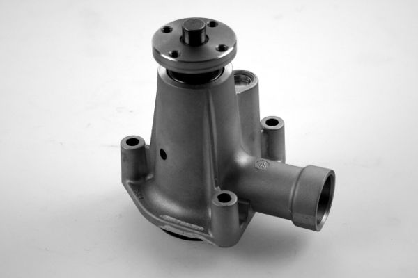 Waterpomp Hepu P9108