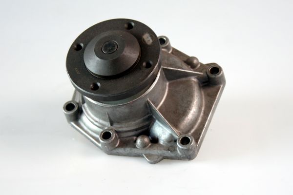 Waterpomp Hepu P9902
