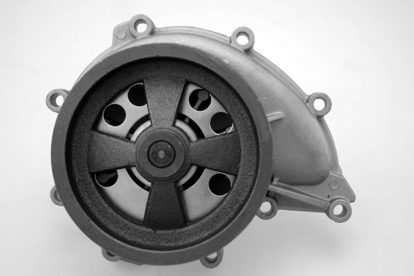 Waterpomp Hepu P9916