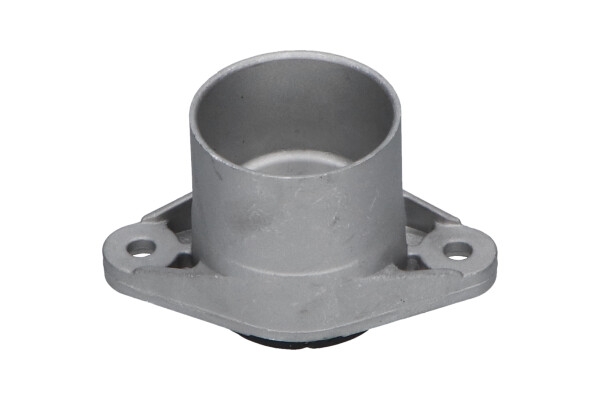 Veerpoot Kavo Parts SSM-10396