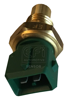 Temperatuursensor Bougicord 295009