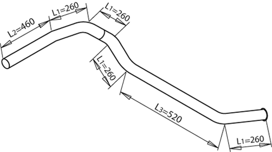 Uitlaatpijp Dinex 50710