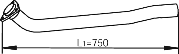 Uitlaatpijp Dinex 62117