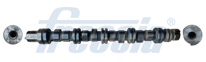 Nokkenas Freccia CM05-2356