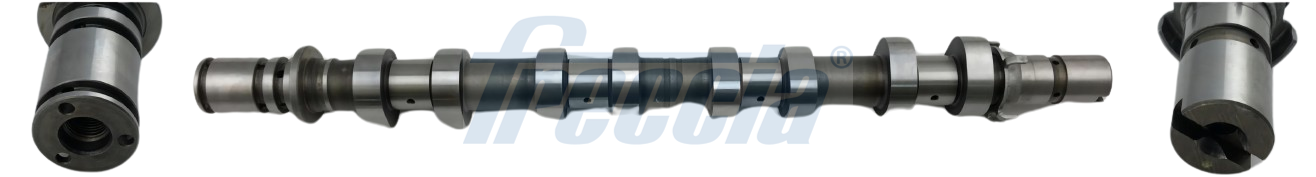 Nokkenas Freccia CM05-2366