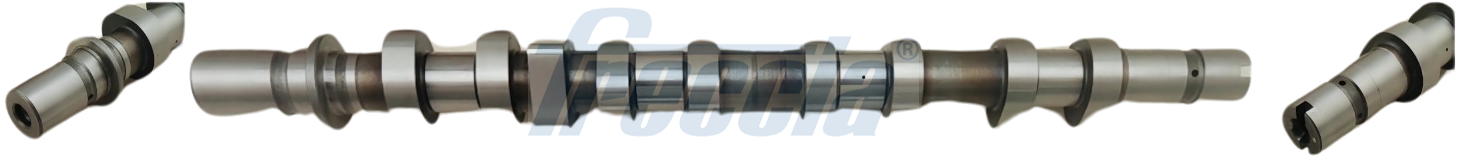 Nokkenas Freccia CM05-2367