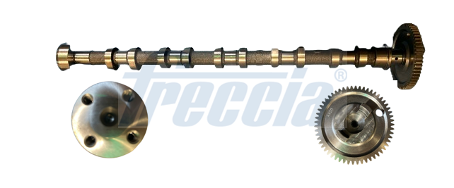 Nokkenas Freccia CM05-2369