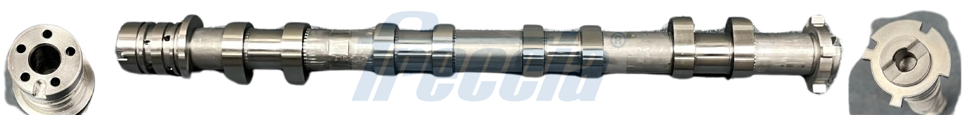 Nokkenas Freccia CM05-2404