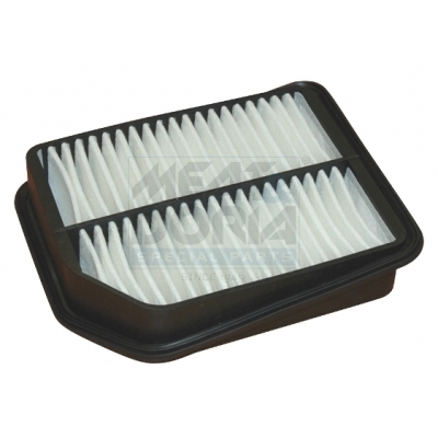 Luchtfilter Meat Doria 18361