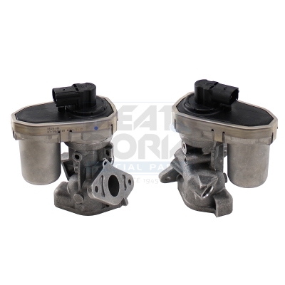 EGR-klep Meat Doria 88137