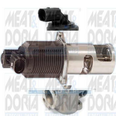 EGR-klep Meat Doria 88013R