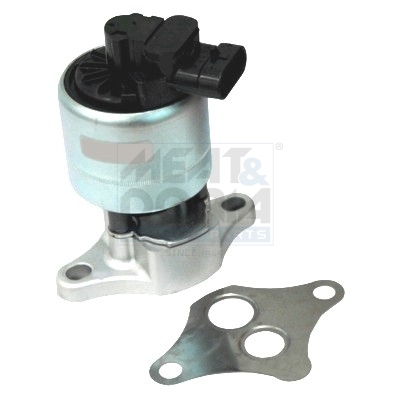 EGR-klep Meat Doria 88161