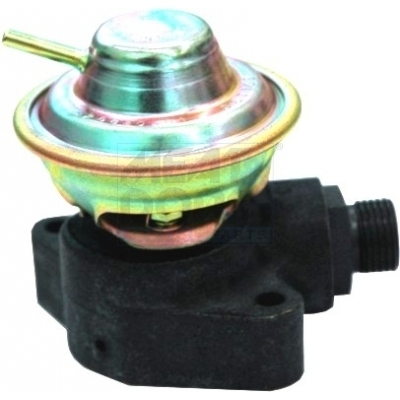 EGR-klep Meat Doria 88157