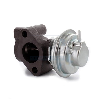 EGR-klep Meat Doria 88394