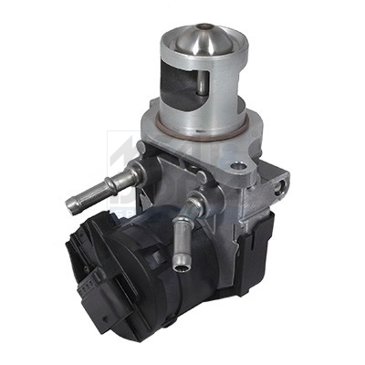 EGR-klep Meat Doria 88254R