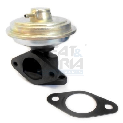 EGR-klep Meat Doria 88339