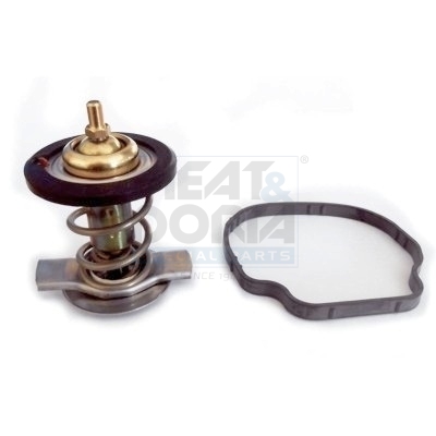 Thermostaat Meat Doria 92837