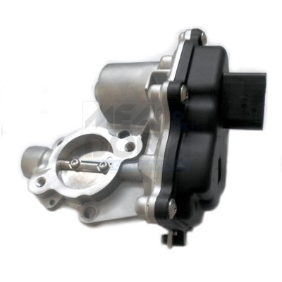 EGR-klep Meat Doria 89290