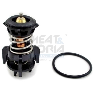 Thermostaat Meat Doria 92863