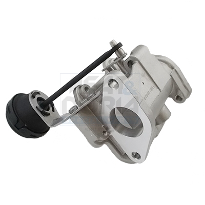 EGR-klep Meat Doria 88717