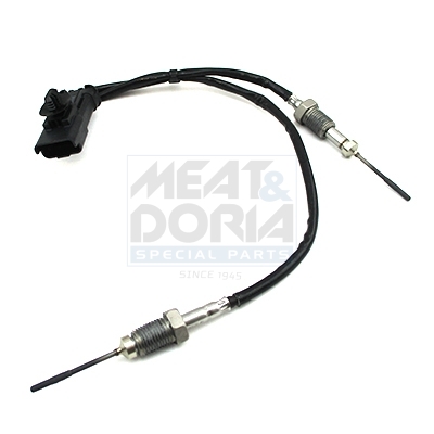 Sensor uitlaatgastemperatuur Meat Doria 12448