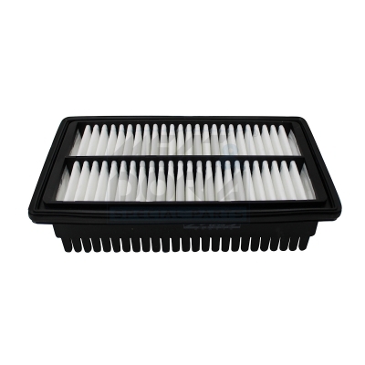 Luchtfilter Meat Doria 18707