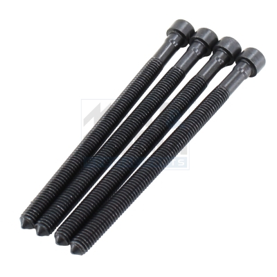 Schroef Meat Doria 98510