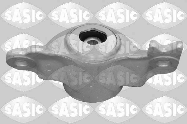 Veerpoot Sasic 2650146