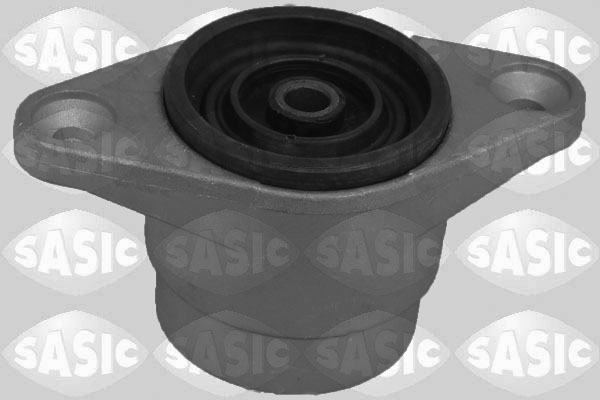 Veerpoot Sasic 2650171