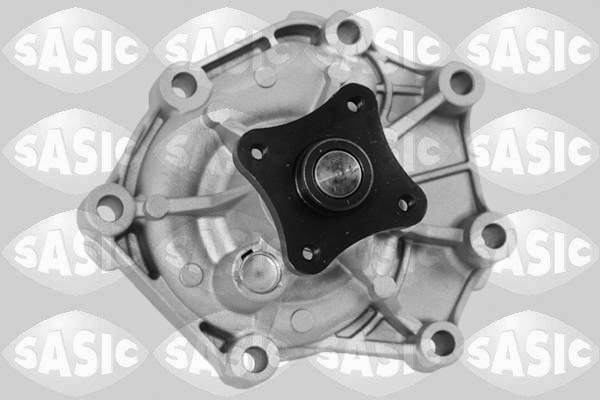 Waterpomp Sasic 3606119