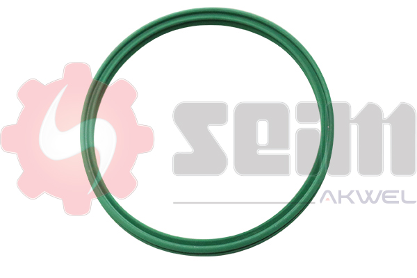 Laadlucht-/turboslang Seim 981969