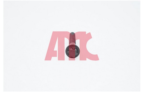 Cilinderkopboutenset AMC 258146