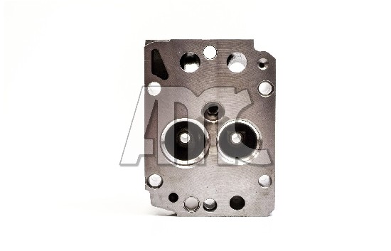 Cilinderkop AMC 939270