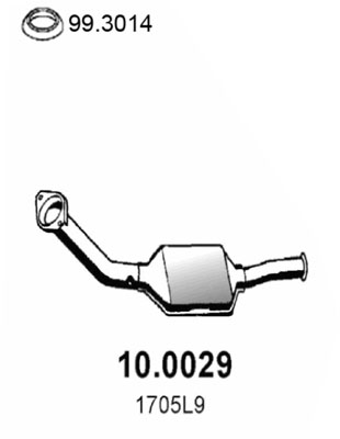 Katalysator Asso 10.0029