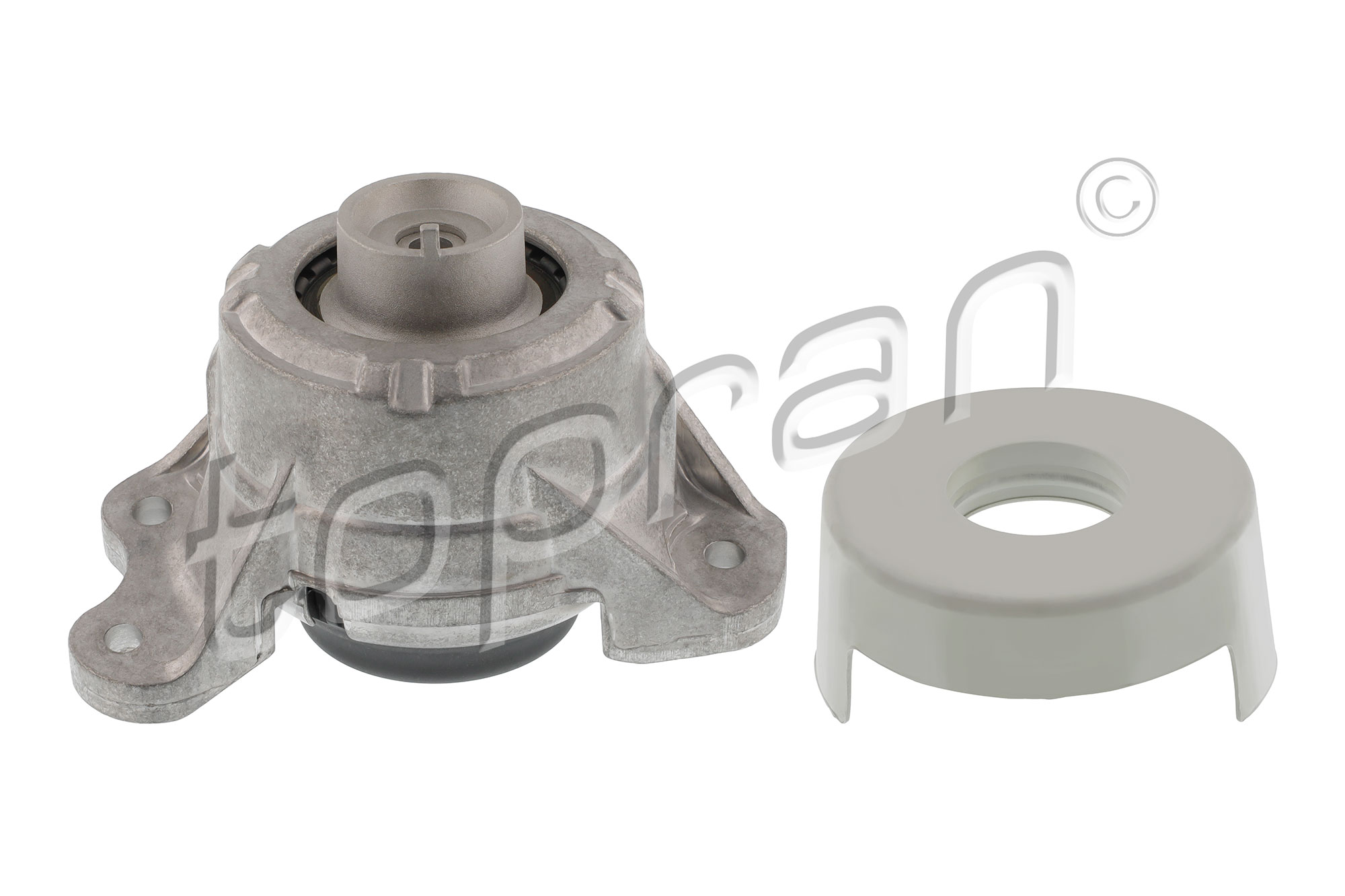 Aslichaam-/motorsteunlager Topran 410 171
