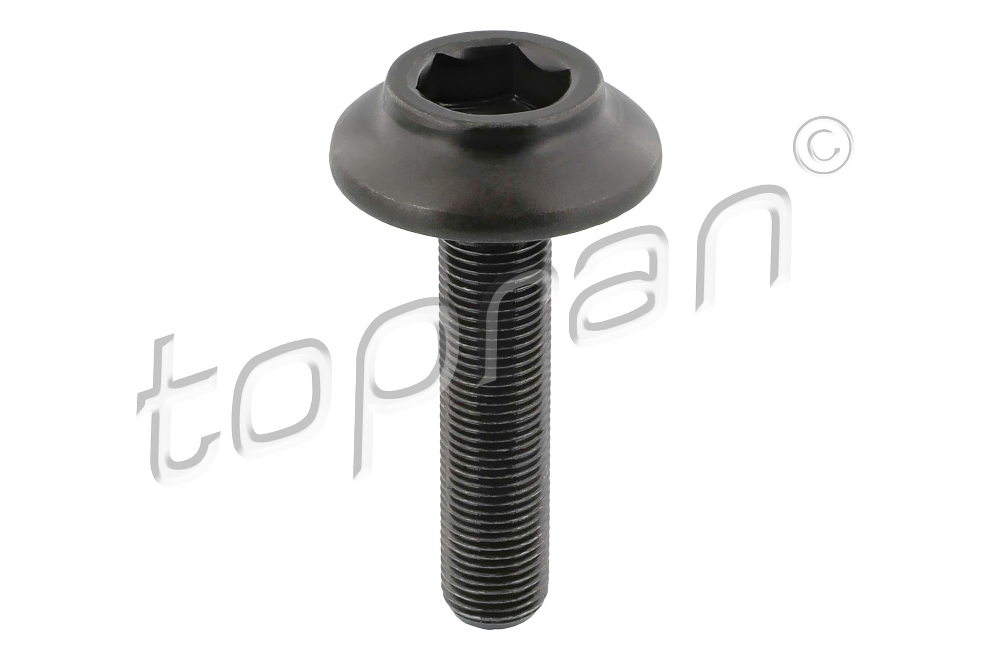 Asschroef, aandrijfas / cardanas Topran 120 979