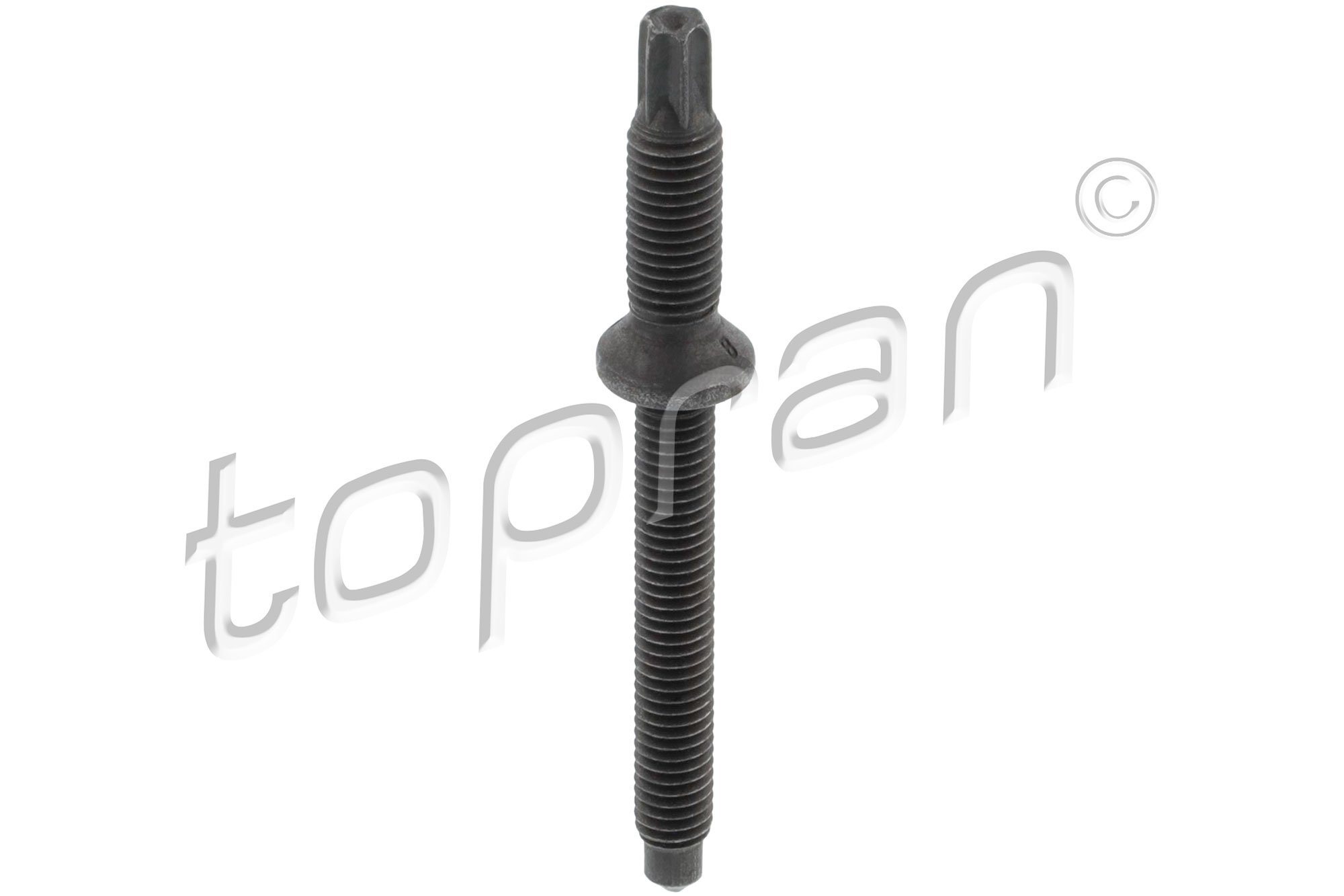 Schroef, inspuitstukhouder Topran 306 329