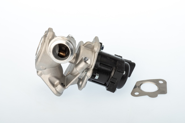 EGR-klep Borgwarner 711020D