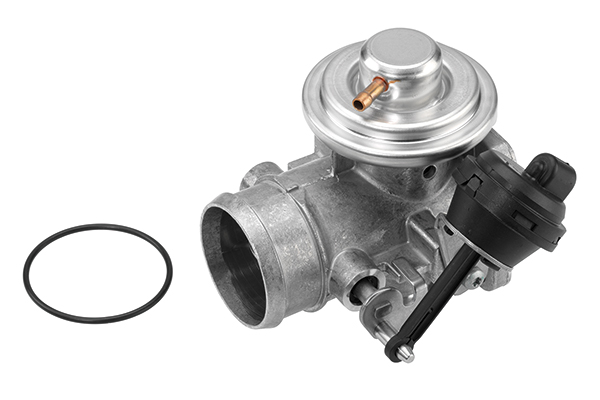 EGR-klep Borgwarner 7223D