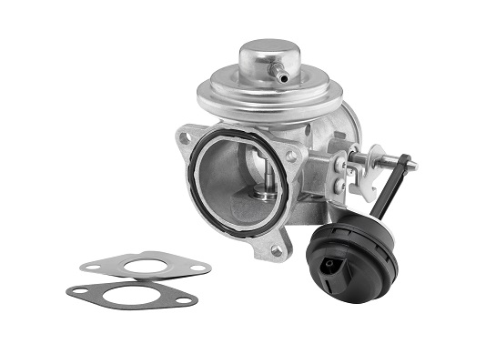 EGR-klep Borgwarner 7293D