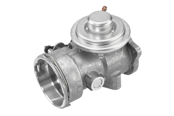 EGR-klep Borgwarner 7451D