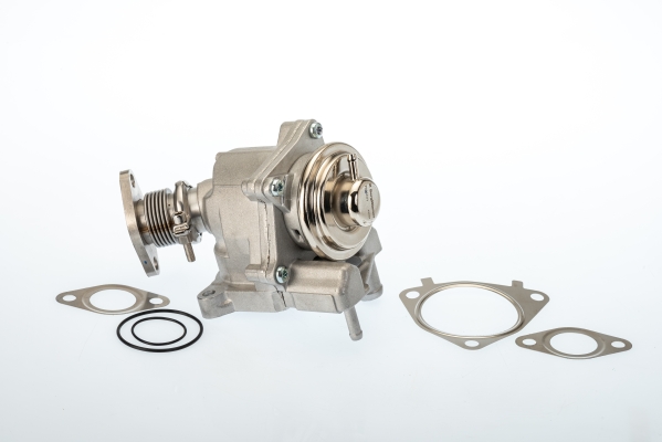 EGR-klep Borgwarner 7631D