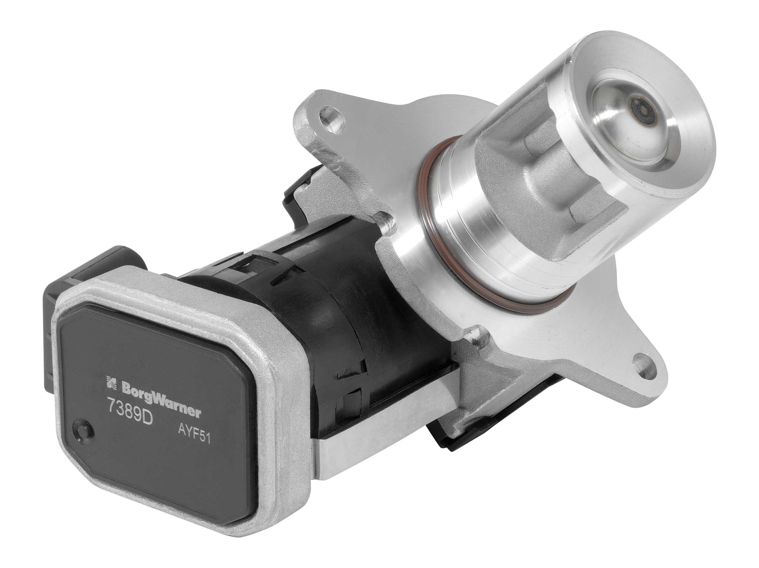 EGR-klep Borgwarner 7389D